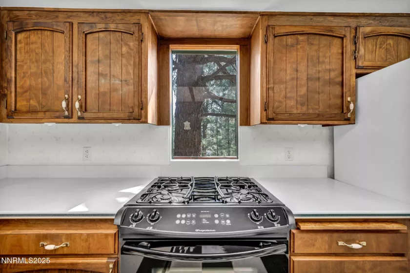 4300 Levi Gulch, Carson City, Nevada 89703, 4 Bedrooms Bedrooms, ,3 BathroomsBathrooms,Residential,Residential,Levi Gulch,250053181