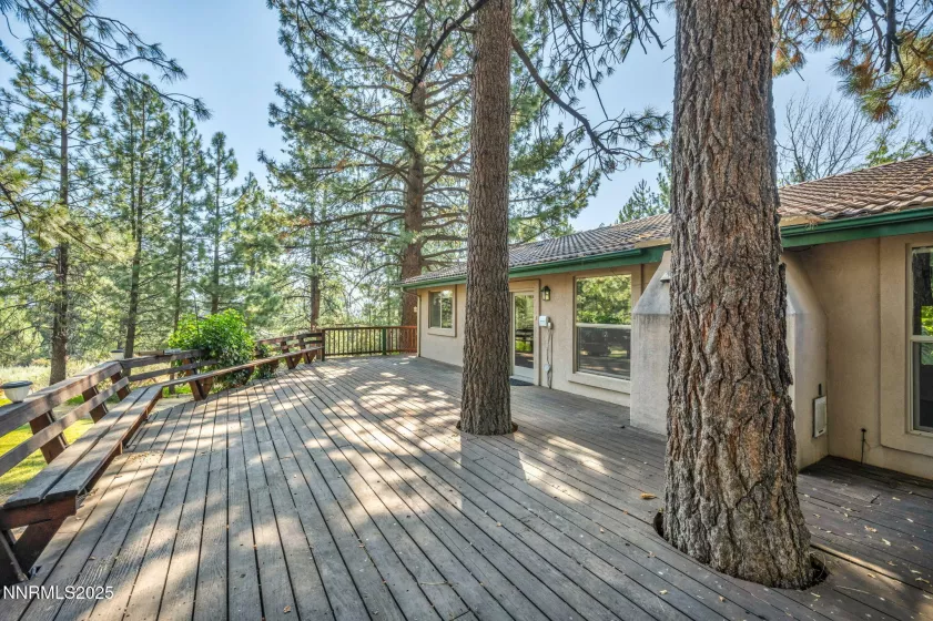 4300 Levi Gulch, Carson City, Nevada 89703, 4 Bedrooms Bedrooms, ,3 BathroomsBathrooms,Residential,Residential,Levi Gulch,250053181
