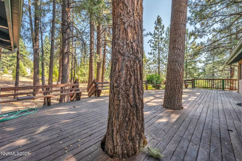4300 Levi Gulch, Carson City, Nevada 89703, 4 Bedrooms Bedrooms, ,3 BathroomsBathrooms,Residential,Residential,Levi Gulch,250053181