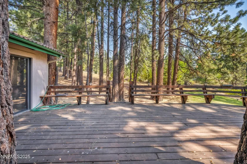 4300 Levi Gulch, Carson City, Nevada 89703, 4 Bedrooms Bedrooms, ,3 BathroomsBathrooms,Residential,Residential,Levi Gulch,250053181
