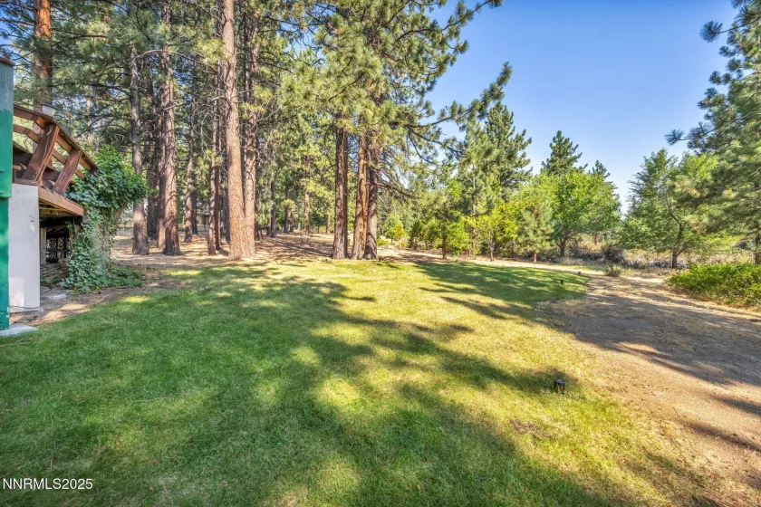 4300 Levi Gulch, Carson City, Nevada 89703, 4 Bedrooms Bedrooms, ,3 BathroomsBathrooms,Residential,Residential,Levi Gulch,250053181