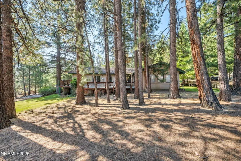 4300 Levi Gulch, Carson City, Nevada 89703, 4 Bedrooms Bedrooms, ,3 BathroomsBathrooms,Residential,Residential,Levi Gulch,250053181