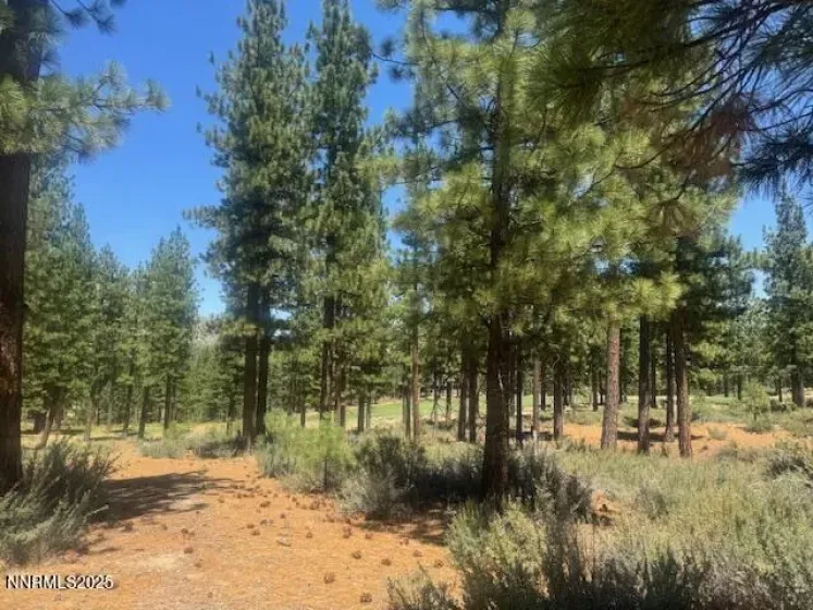 184 Redding, Carson City, Nevada 89705, ,Land,Residential,Redding,250053185