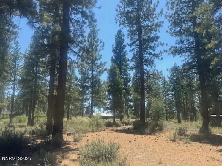 184 Redding, Carson City, Nevada 89705, ,Land,Residential,Redding,250053185