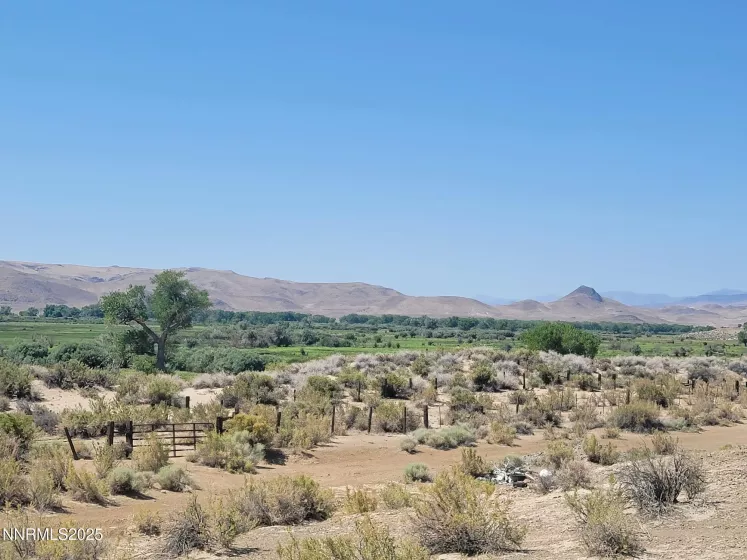 8935 Cougar Cir, Silver Springs, Nevada 89429, ,Land,Residential,Cougar Cir,250053229