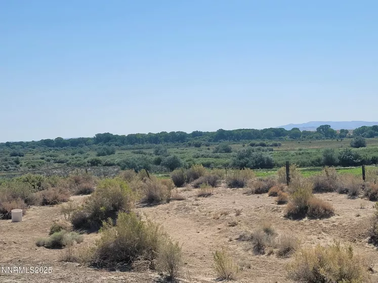 8935 Cougar Cir, Silver Springs, Nevada 89429, ,Land,Residential,Cougar Cir,250053229