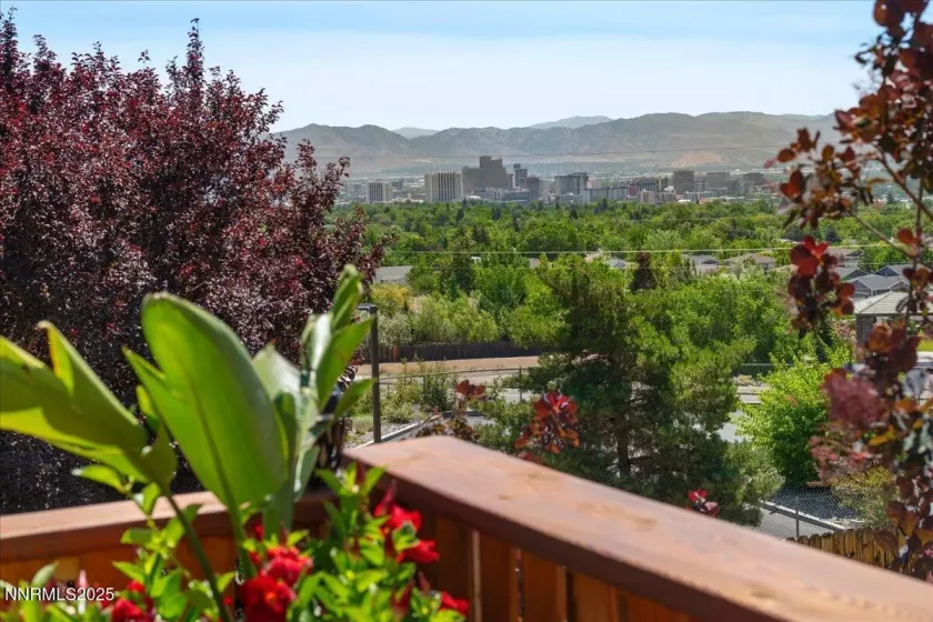 2980 Hacienda, Reno, Nevada 89503, 3 Bedrooms Bedrooms, ,3 BathroomsBathrooms,Residential,Residential,Hacienda,250053238