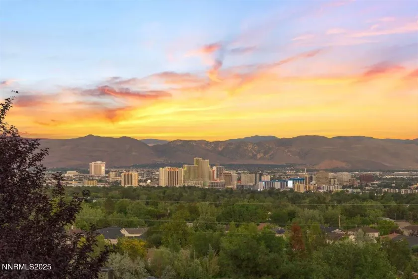2980 Hacienda, Reno, Nevada 89503, 3 Bedrooms Bedrooms, ,3 BathroomsBathrooms,Residential,Residential,Hacienda,250053238