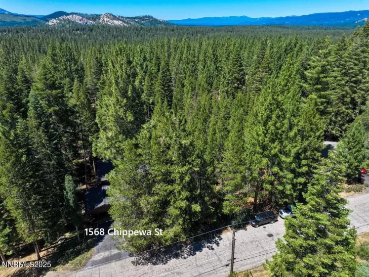 1568 Chippewa, South Lake Tahoe, California 96150, 3 Bedrooms Bedrooms, ,3 BathroomsBathrooms,Residential,Residential,Chippewa,250053245
