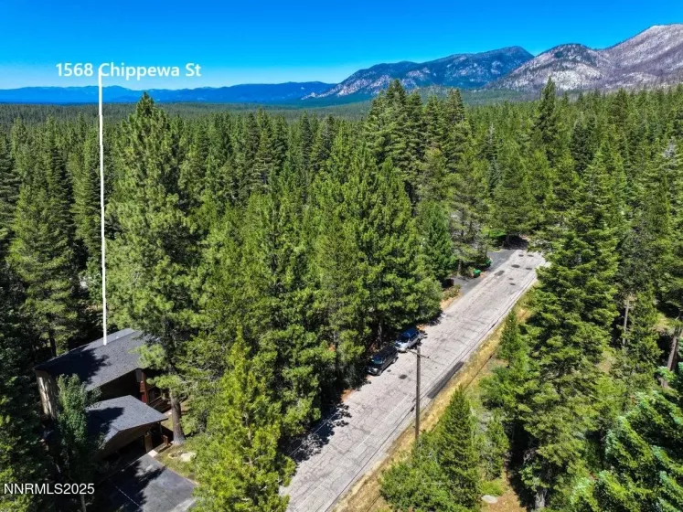 1568 Chippewa, South Lake Tahoe, California 96150, 3 Bedrooms Bedrooms, ,3 BathroomsBathrooms,Residential,Residential,Chippewa,250053245