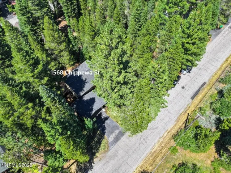 1568 Chippewa, South Lake Tahoe, California 96150, 3 Bedrooms Bedrooms, ,3 BathroomsBathrooms,Residential,Residential,Chippewa,250053245