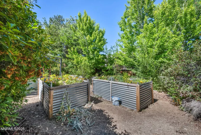 Planter Boxes