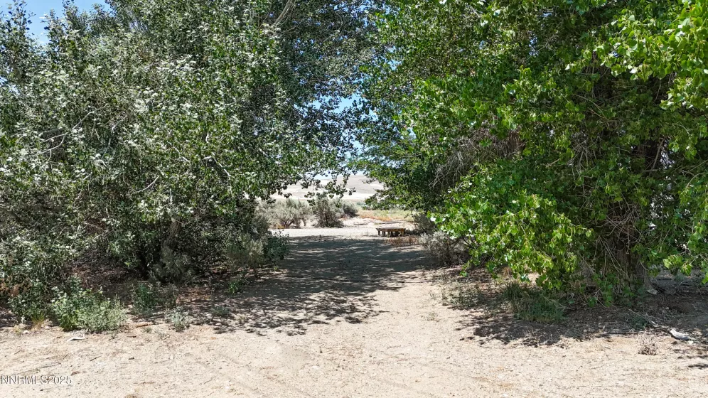 3495 Amaranth, Winnemucca, Nevada 89445, 3 Bedrooms Bedrooms, ,3 BathroomsBathrooms,Residential,Residential,Amaranth,250005288