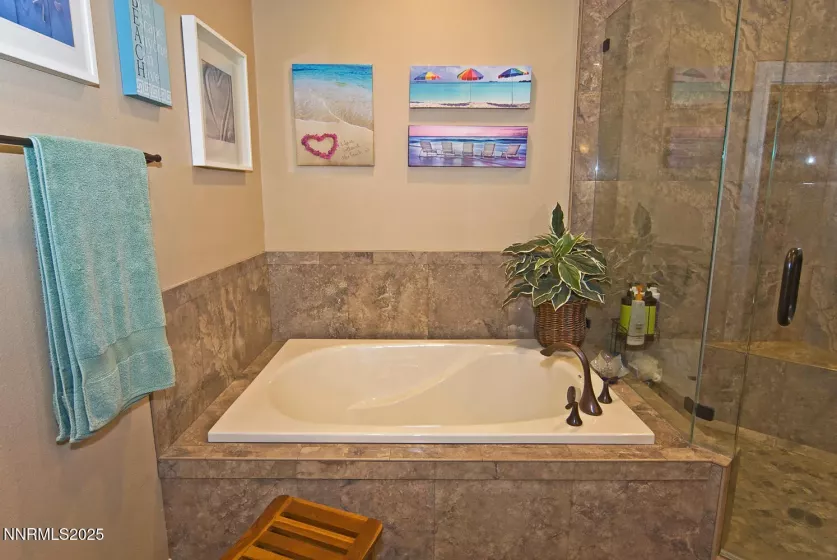 1572 Amber Rose, Minden, Nevada 89423, 3 Bedrooms Bedrooms, ,3 BathroomsBathrooms,Residential,Residential,Amber Rose,250053274