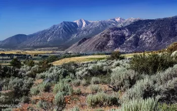 343 James Canyon, Genoa, Nevada 89411, ,Land,Residential,James Canyon,250053280