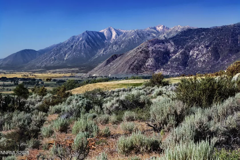 343 James Canyon, Genoa, Nevada 89411, ,Land,Residential,James Canyon,250053280