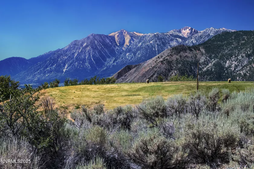 343 James Canyon, Genoa, Nevada 89411, ,Land,Residential,James Canyon,250053280