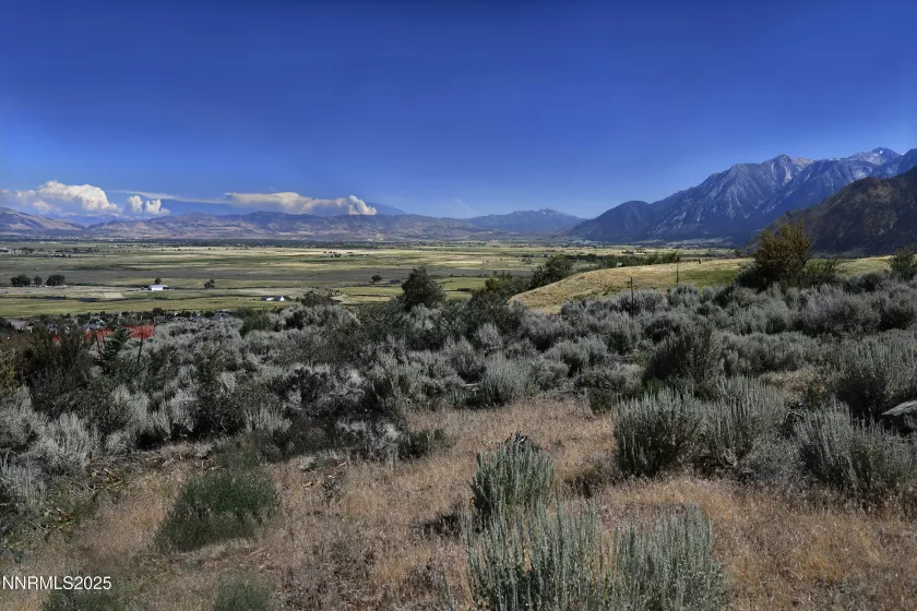 343 James Canyon, Genoa, Nevada 89411, ,Land,Residential,James Canyon,250053280
