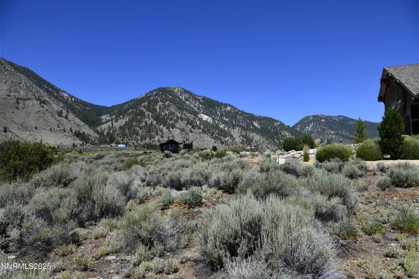 343 James Canyon, Genoa, Nevada 89411, ,Land,Residential,James Canyon,250053280