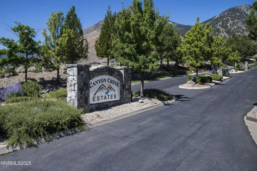 343 James Canyon, Genoa, Nevada 89411, ,Land,Residential,James Canyon,250053280
