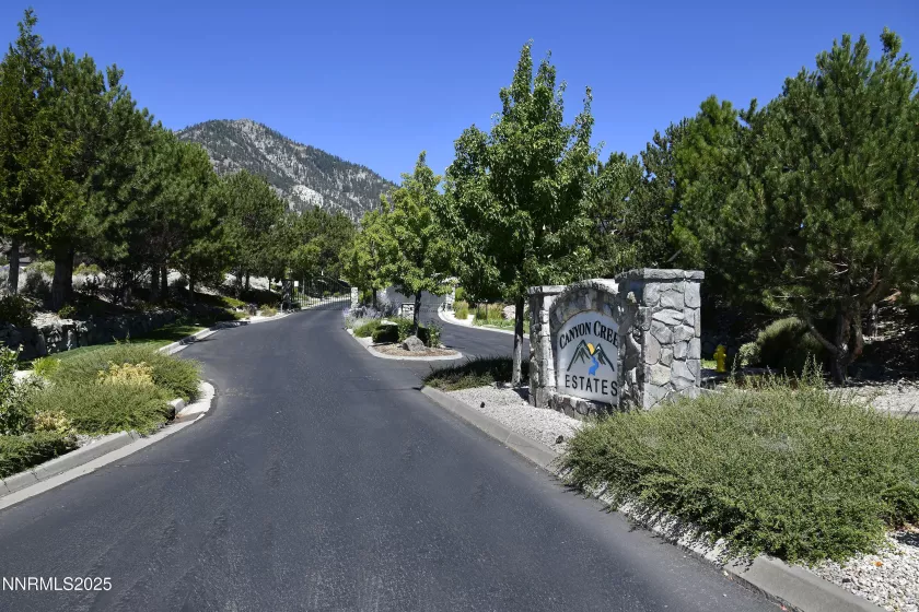 343 James Canyon, Genoa, Nevada 89411, ,Land,Residential,James Canyon,250053280