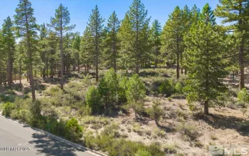 20585 Margaux, Reno, Nevada 89511, ,Land,Residential,Margaux,250053285