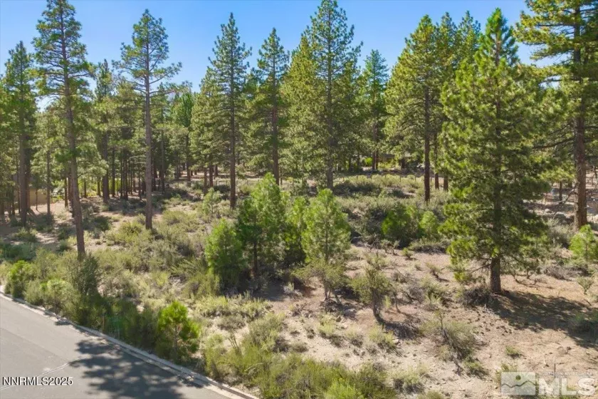 20585 Margaux, Reno, Nevada 89511, ,Land,Residential,Margaux,250053285