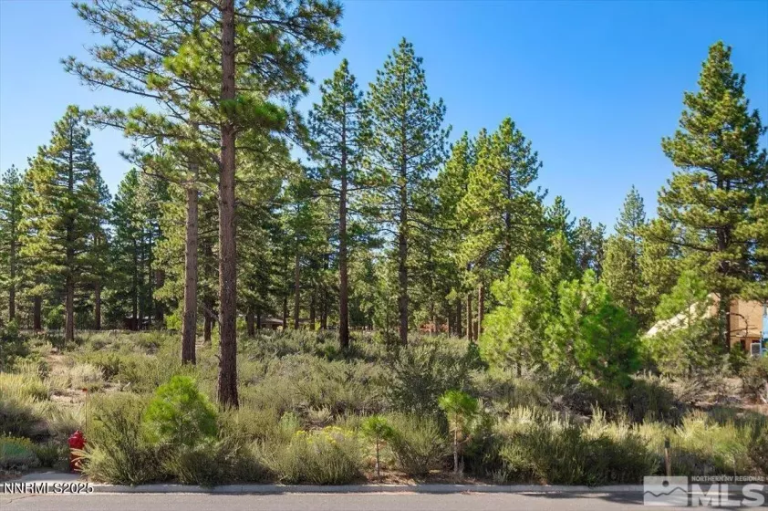 20585 Margaux, Reno, Nevada 89511, ,Land,Residential,Margaux,250053285