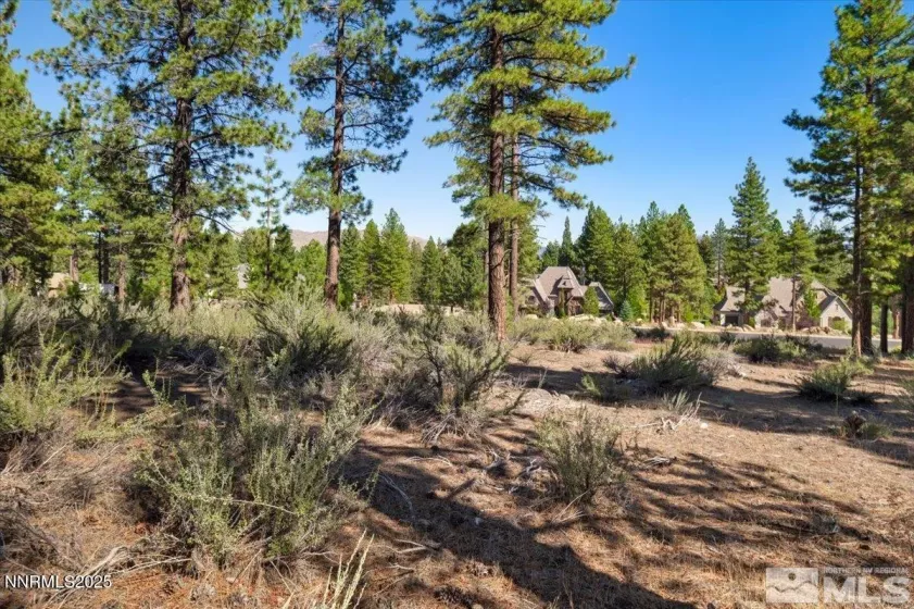 20585 Margaux, Reno, Nevada 89511, ,Land,Residential,Margaux,250053285