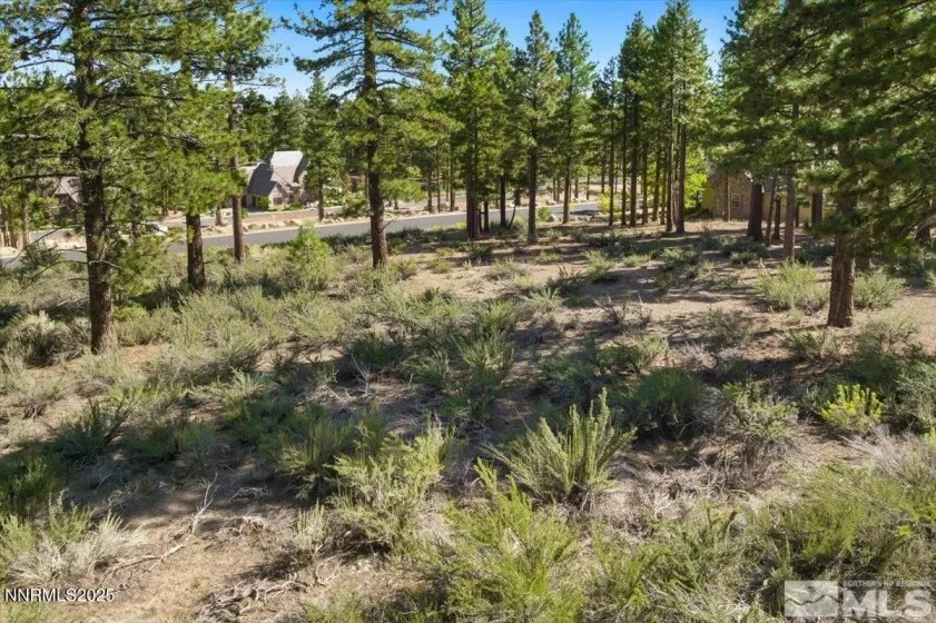20585 Margaux, Reno, Nevada 89511, ,Land,Residential,Margaux,250053285