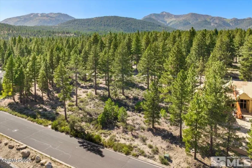 20585 Margaux, Reno, Nevada 89511, ,Land,Residential,Margaux,250053285