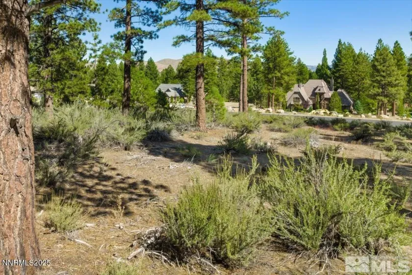 20585 Margaux, Reno, Nevada 89511, ,Land,Residential,Margaux,250053285