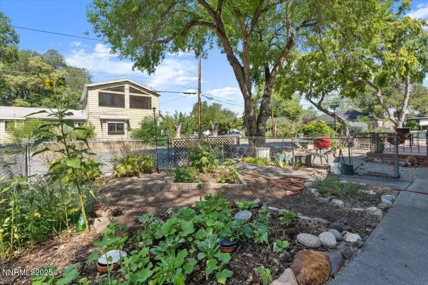 506 Modoc, Reno, Nevada 89509, ,Residential Income,Residential,Modoc,250053312