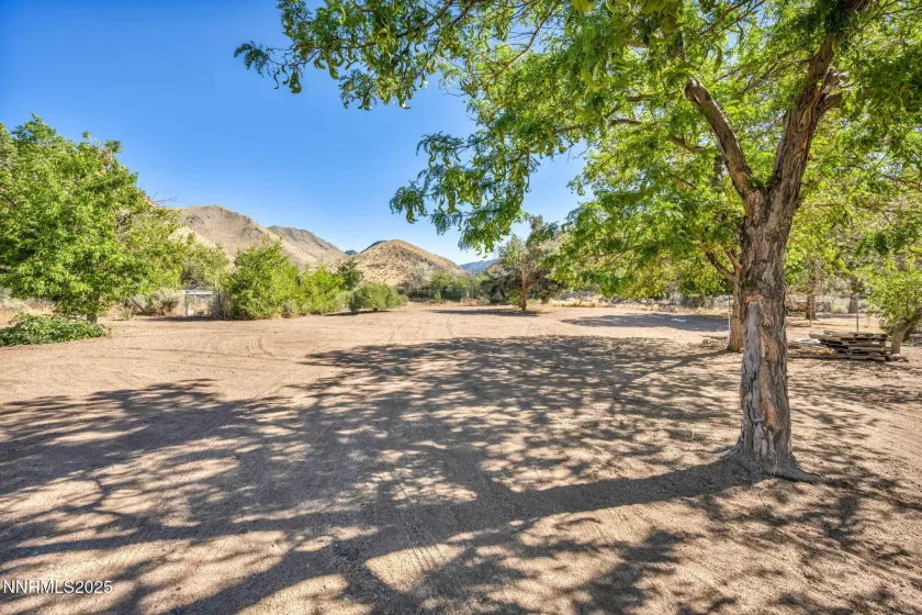 91 Shetler, Coleville, California 96107, 2 Bedrooms Bedrooms, ,2 BathroomsBathrooms,Residential,Residential,Shetler,250053333