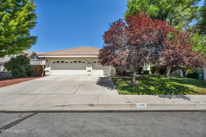 4268 Hunter, Carson City, Nevada 89701, 3 Bedrooms Bedrooms, ,2 BathroomsBathrooms,Residential,Residential,Hunter,250053334