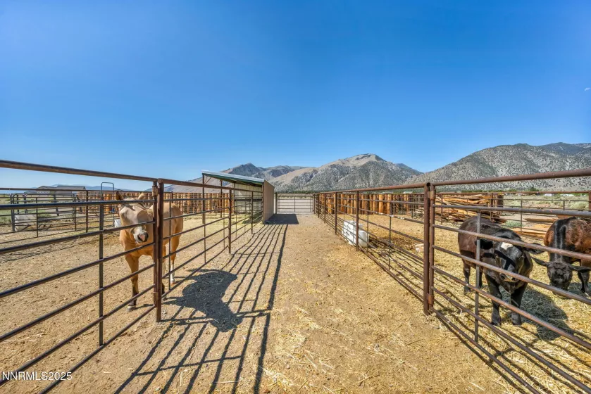 45 Madison, Smith Valley, Nevada 89444, 2 Bedrooms Bedrooms, ,1 BathroomBathrooms,Residential,Residential,Madison,250053341