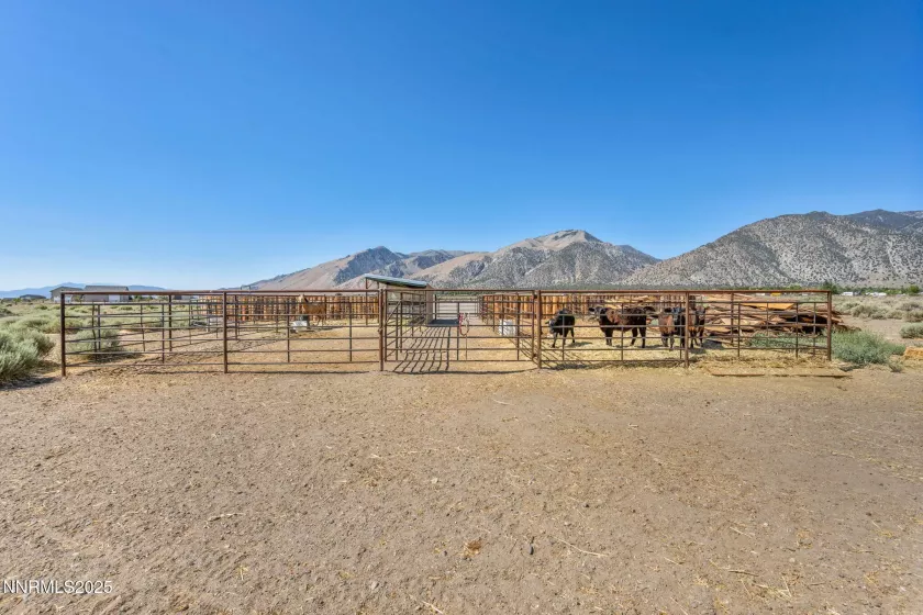 45 Madison, Smith Valley, Nevada 89444, 2 Bedrooms Bedrooms, ,1 BathroomBathrooms,Residential,Residential,Madison,250053341