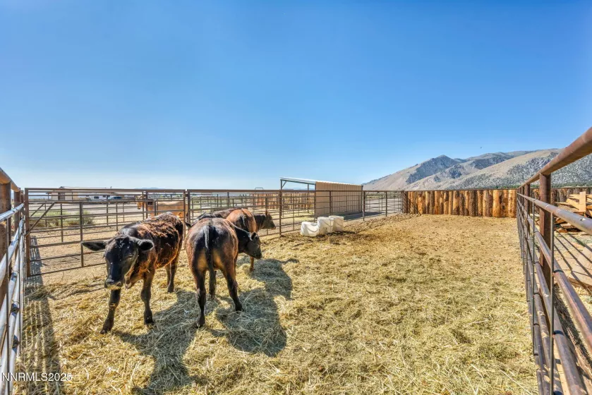 45 Madison, Smith Valley, Nevada 89444, 2 Bedrooms Bedrooms, ,1 BathroomBathrooms,Residential,Residential,Madison,250053341