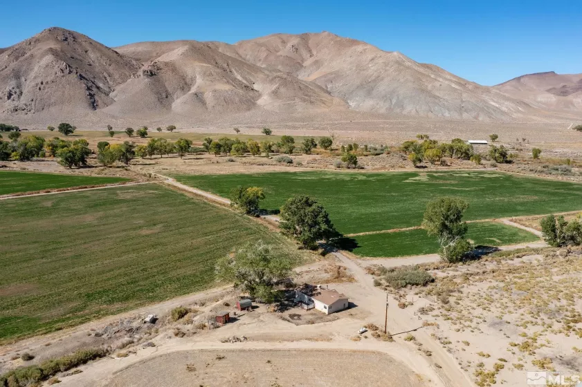 1312 NV-208, Yerington, Nevada 89447, 5 Bedrooms Bedrooms, ,6 BathroomsBathrooms,Farm & Ranch,Residential,NV-208,220014640