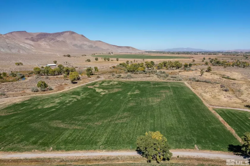 1312 NV-208, Yerington, Nevada 89447, 5 Bedrooms Bedrooms, ,6 BathroomsBathrooms,Farm & Ranch,Residential,NV-208,220014640