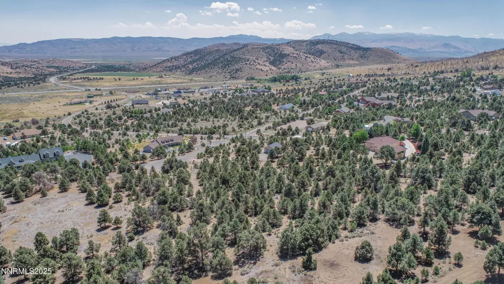 1520 Alba, Gardnerville, Nevada 89410, ,Land,Residential,Alba,250053352
