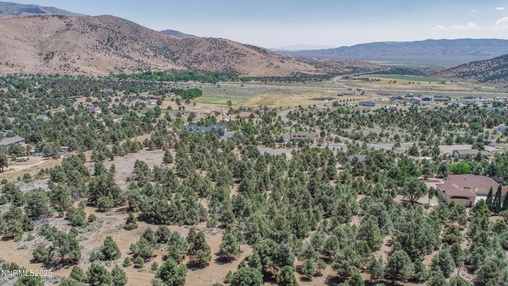 1520 Alba, Gardnerville, Nevada 89410, ,Land,Residential,Alba,250053352
