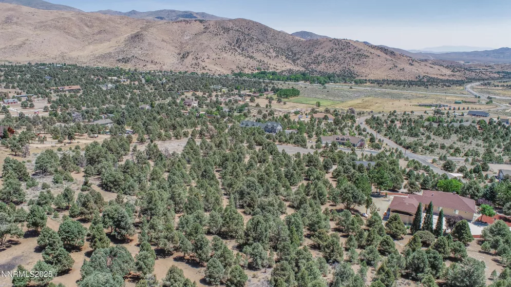 1520 Alba, Gardnerville, Nevada 89410, ,Land,Residential,Alba,250053352