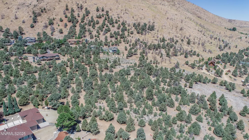 1520 Alba, Gardnerville, Nevada 89410, ,Land,Residential,Alba,250053352