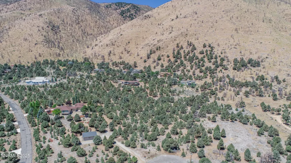 1520 Alba, Gardnerville, Nevada 89410, ,Land,Residential,Alba,250053352