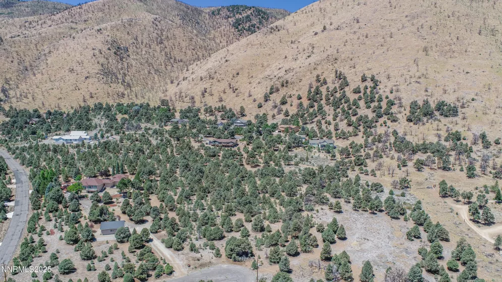 1520 Alba, Gardnerville, Nevada 89410, ,Land,Residential,Alba,250053352