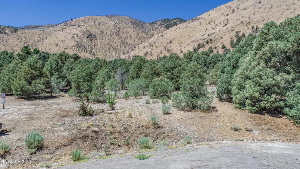 1520 Alba, Gardnerville, Nevada 89410, ,Land,Residential,Alba,250053352
