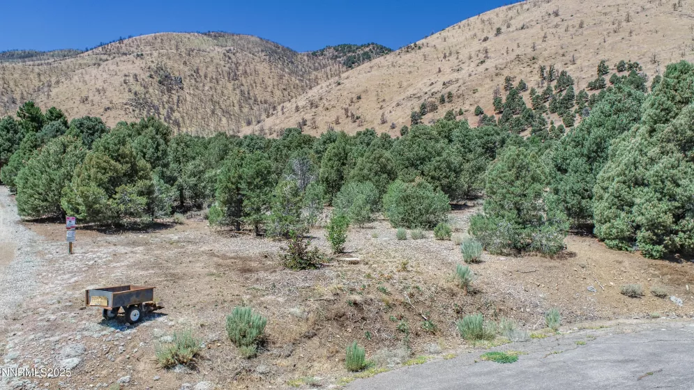 1520 Alba, Gardnerville, Nevada 89410, ,Land,Residential,Alba,250053352