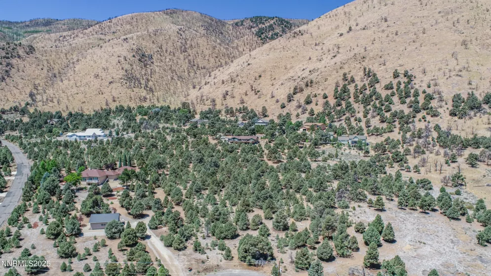 1520 Alba, Gardnerville, Nevada 89410, ,Land,Residential,Alba,250053352