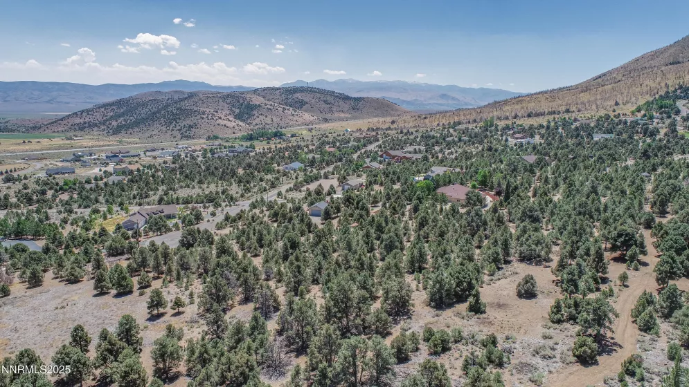 1520 Alba, Gardnerville, Nevada 89410, ,Land,Residential,Alba,250053352
